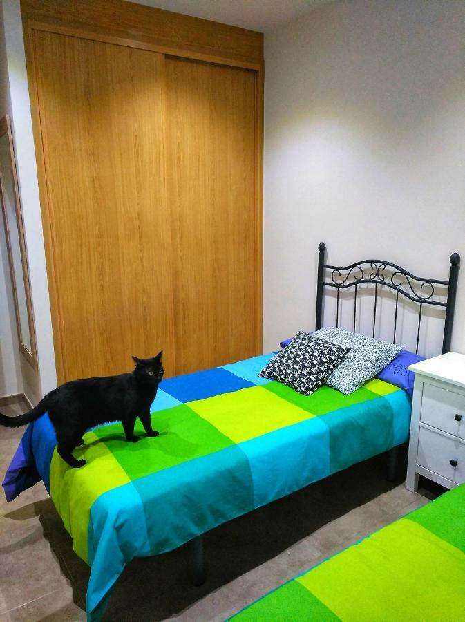 El Gato Negro Trefacio