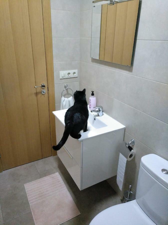 El Gato Negro