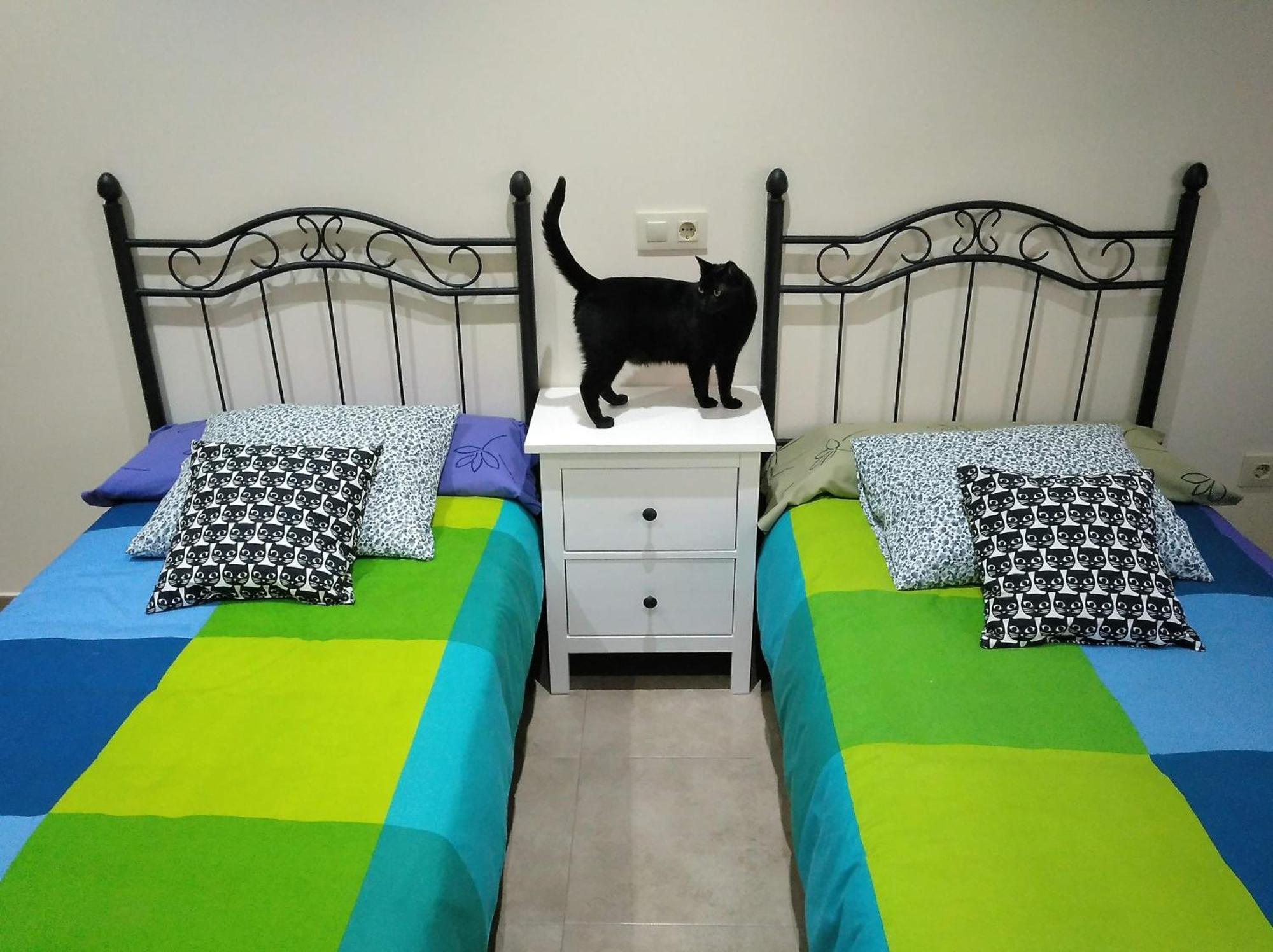 El Gato Negro