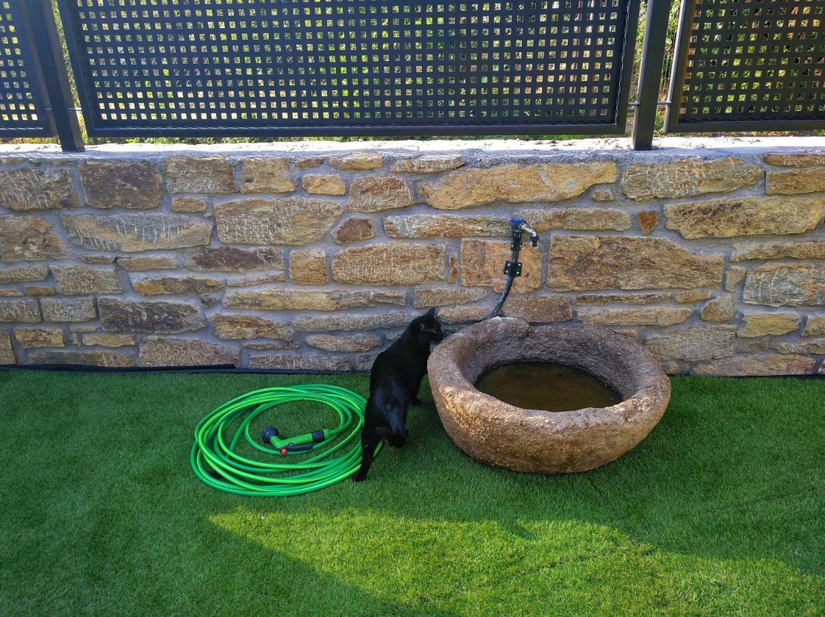 El Gato Negro Casa de vacances Trefacio